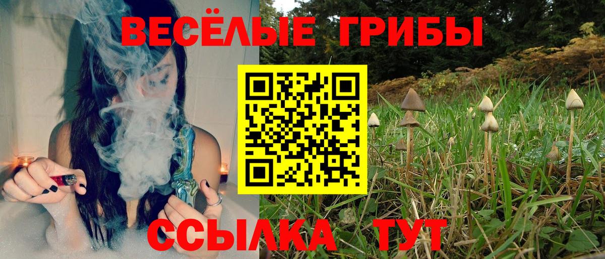 Галлюциногенные грибы Psilocybine cubensis  Вход с VPN  Новотроицк  Псилоцибиновые грибы Psilocybe 