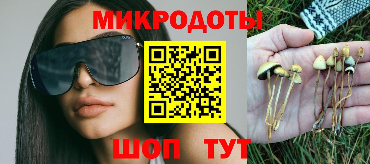 Псилоцибиновые грибы Magic Shrooms Новотроицк