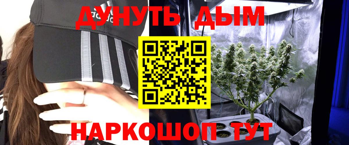Канабис сатива Новотроицк